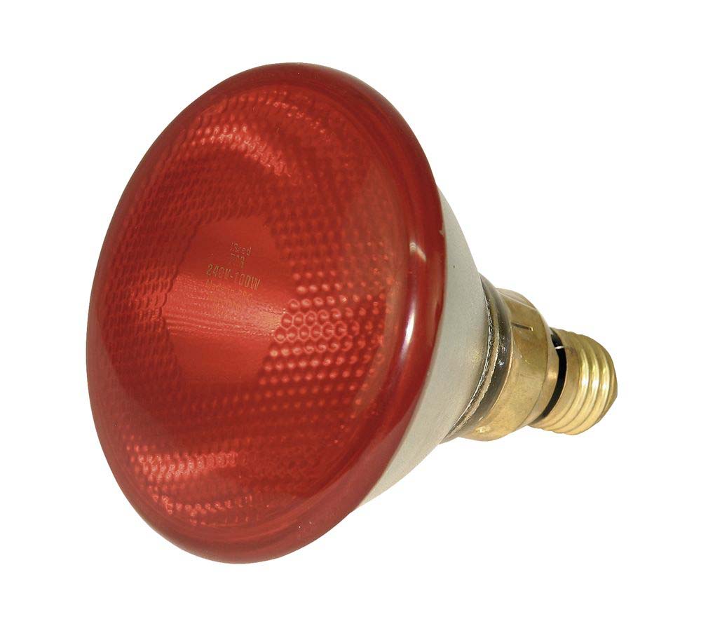 Infrarotsparlampe