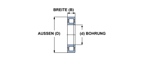 SKF Zylinderrollenlager