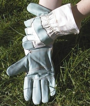 Handschuhe XL / 10,5